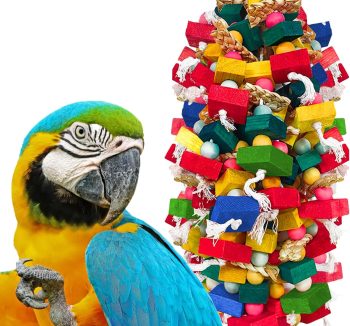 bird toys for parrots