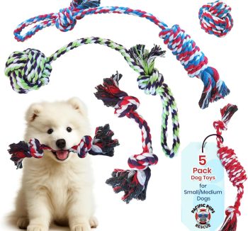 dog wellness products