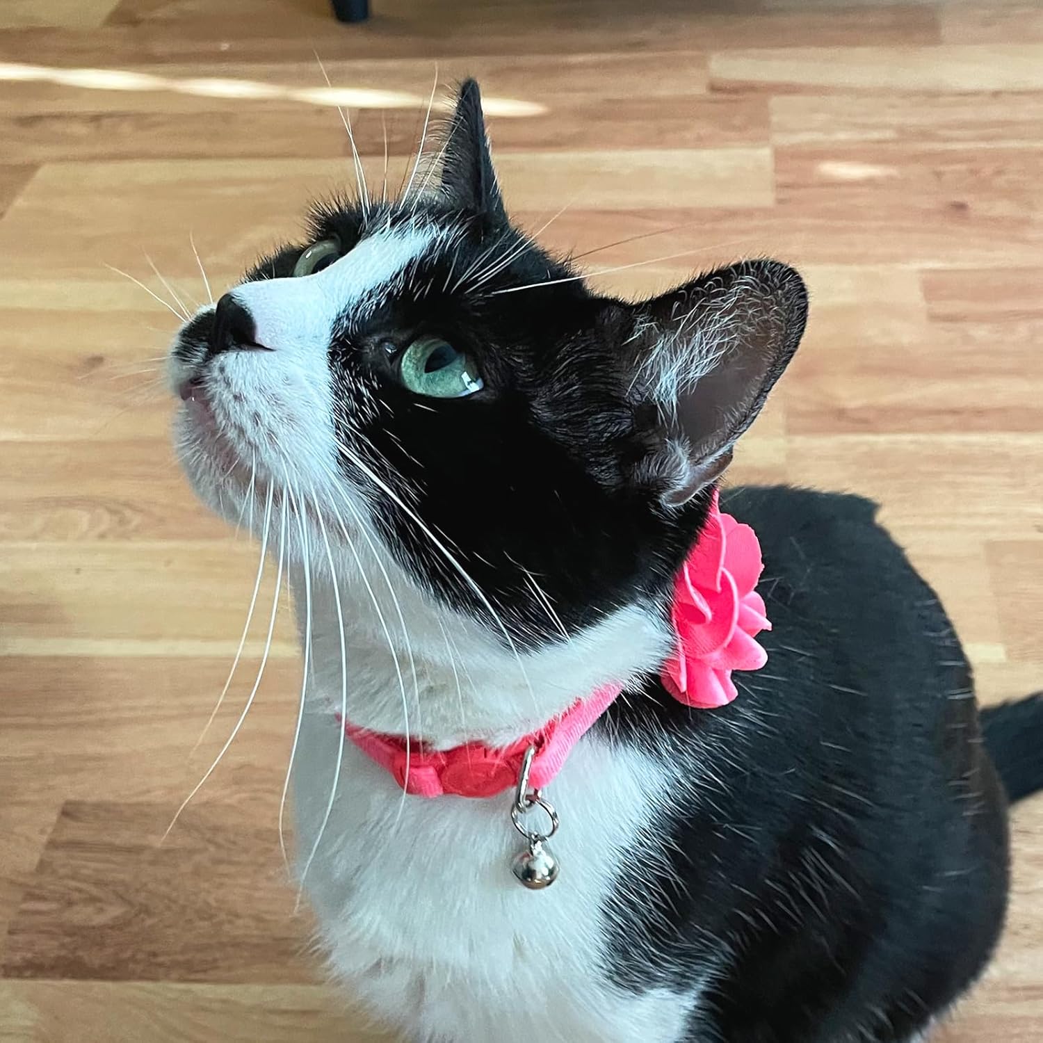 azuza 2 Pack Cat Collar Floral with Bell and Removable Flower Bowtie Breakaway Adjustable Velvet Fabric Cat Collar for Pets and Daily Decoration, Light Pink & Dark Pink - Happypetzone.online - Image 7