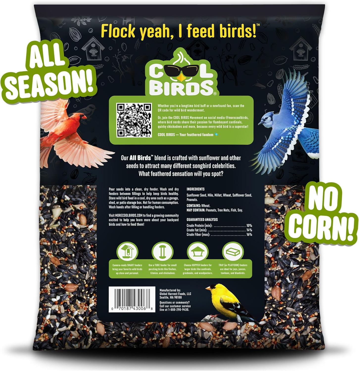 Cool Birds All Birds Wild Bird Seed – 10 lb. Classic Blend with Black Oil Sunflower, White Millet, Safflower, Peanuts & Sunflower Hearts – Balanced Bird Food for Outside Feeders - Happypetzone.online - Image 2