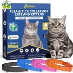 cat tick prevention