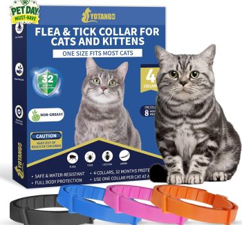 cat tick prevention