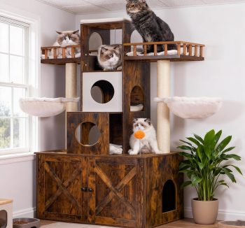 cat condo furniture