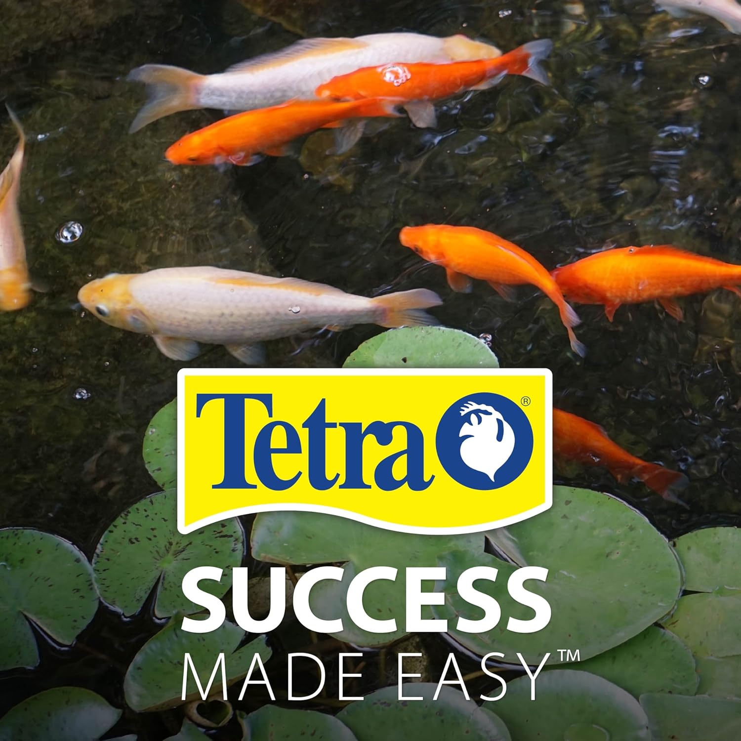 TetraPond Pond Sticks, Pond Fish Food, for Goldfish and Koi, 1.72 Pounds - Happypetzone.online - Image 10