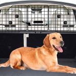 dog car barrier safety