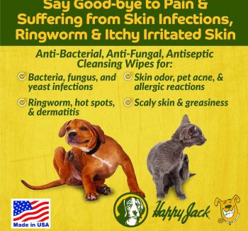 cat skin and coat supplement