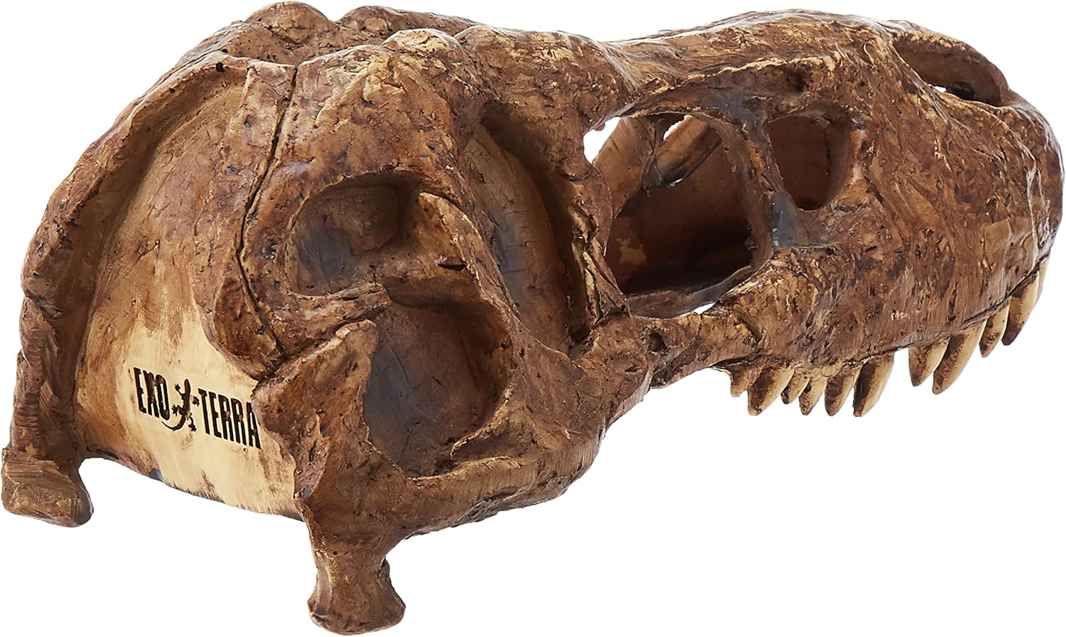 Exo Terra T-Rex Skull Terrarium Decor - Happypetzone.online - Image 2