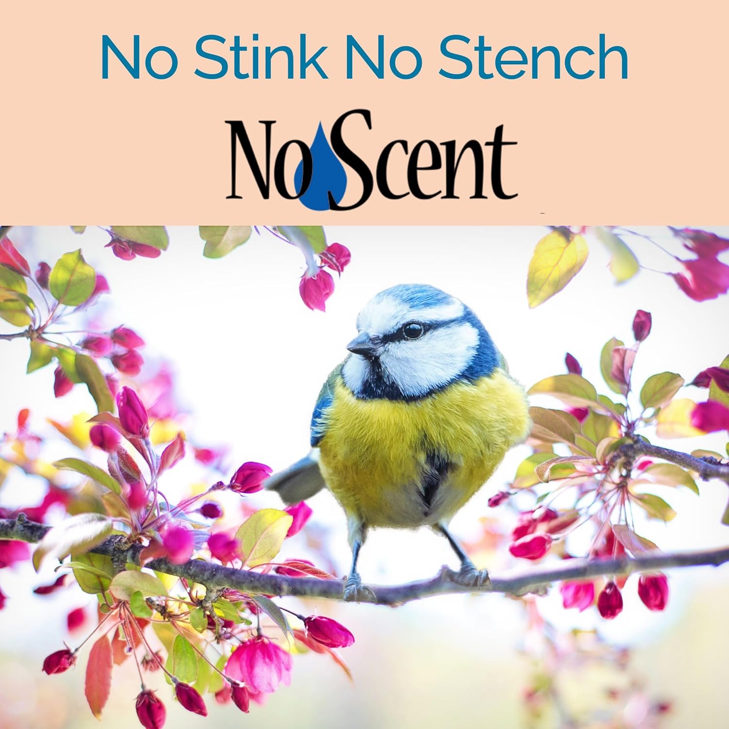 No Scent Bird Cage Cleaner Spray & Pet Odor Management, Natural Aviary Freshener (2 Fl Oz / 59 mL) Pack of 2 - Happypetzone.online - Image 7