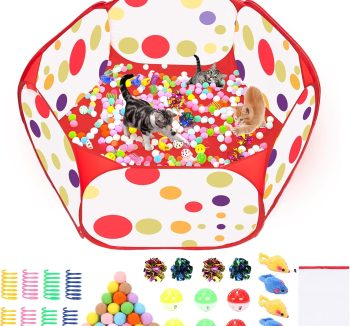 cat enrichment toys