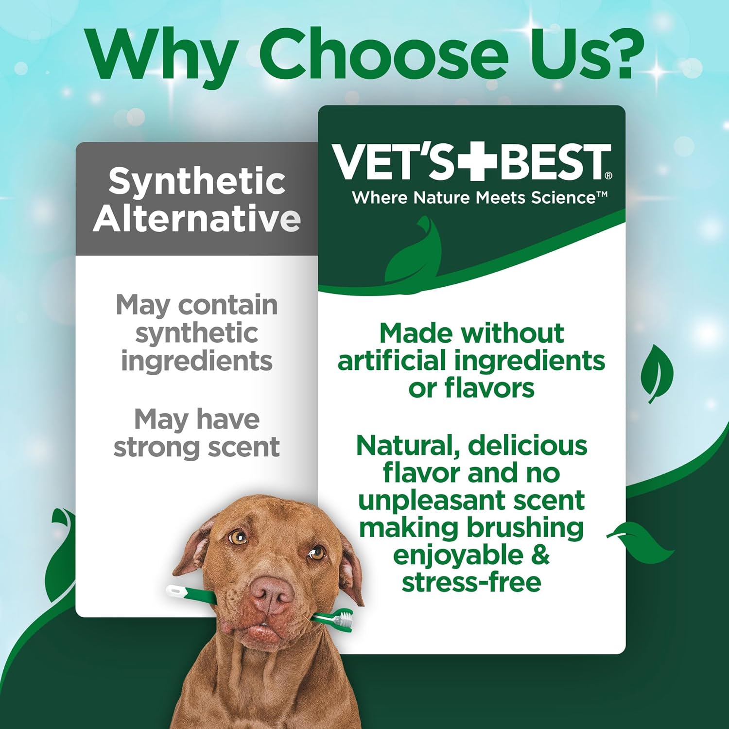 Vet’s Best Enzymatic Dog Toothpaste – Vet Formulated Dental Gel for Teeth Cleaning, Fresh Breath, Tartar Control, Plaque Remover & Oral Hygiene for Dogs, 3.5 oz - Happypetzone.online - Image 2