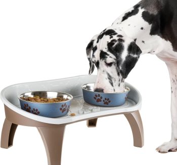 best cat food