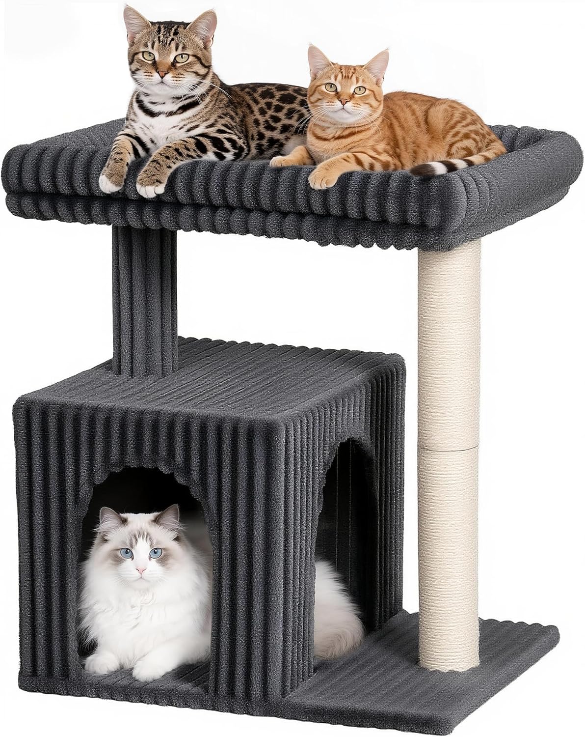 cat tree for big cats