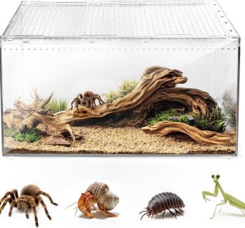 cheap reptile tank