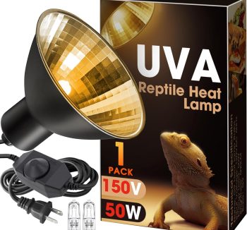 reptile heat lamp kit