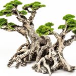 aquarium landscape decor
