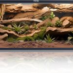 reptile tank terrarium