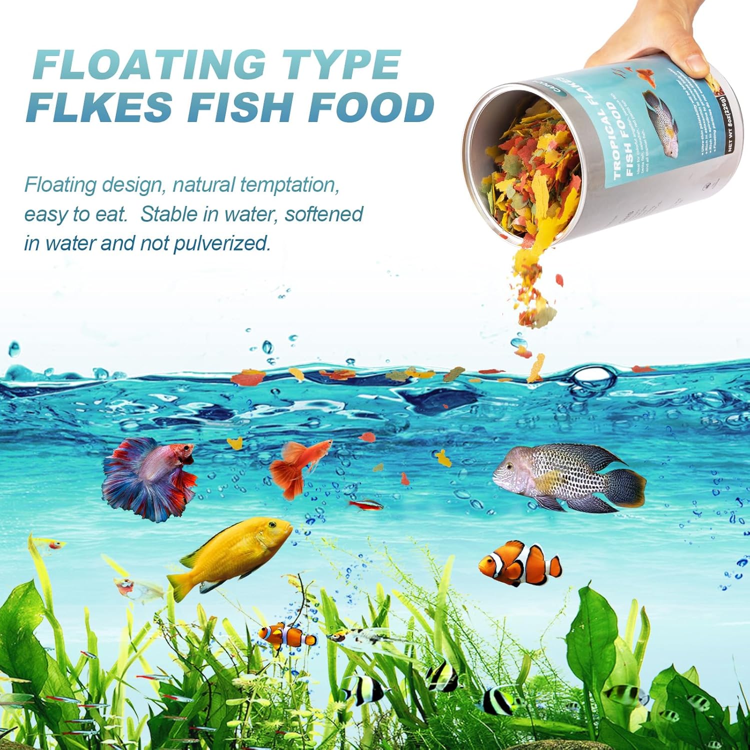 8 OZ Ultrathin Tropical Fish Flakes - High Protein with Krill & Spirulina for Betta, Guppies, Tetra, Angelfish, Color Enhancing Fast Growth Formula - Happypetzone.online - Image 6