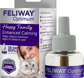 cat anxiety relief