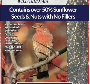 premium bird food