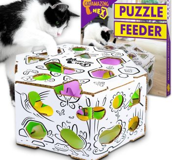 cat reward treats