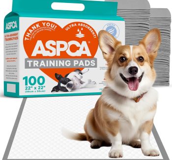 puppy training pads large