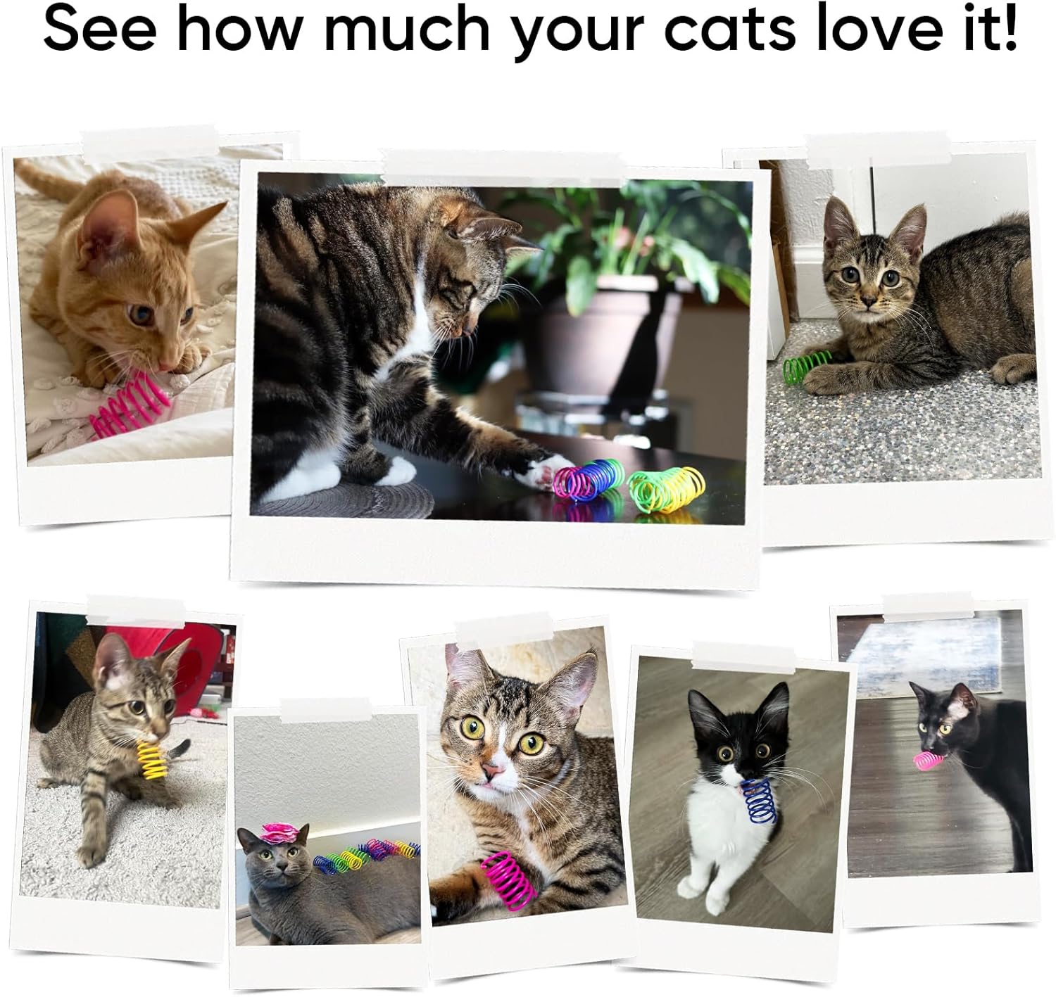 Cat Toys for Indoor Cats, 30 Pack Interactive Cat Spring Toys, Durable Colorful Plastic Spiral Springs for Kitten Hunt, Swat and Bite, Bulk Cat Toys - Happypetzone.online - Image 5