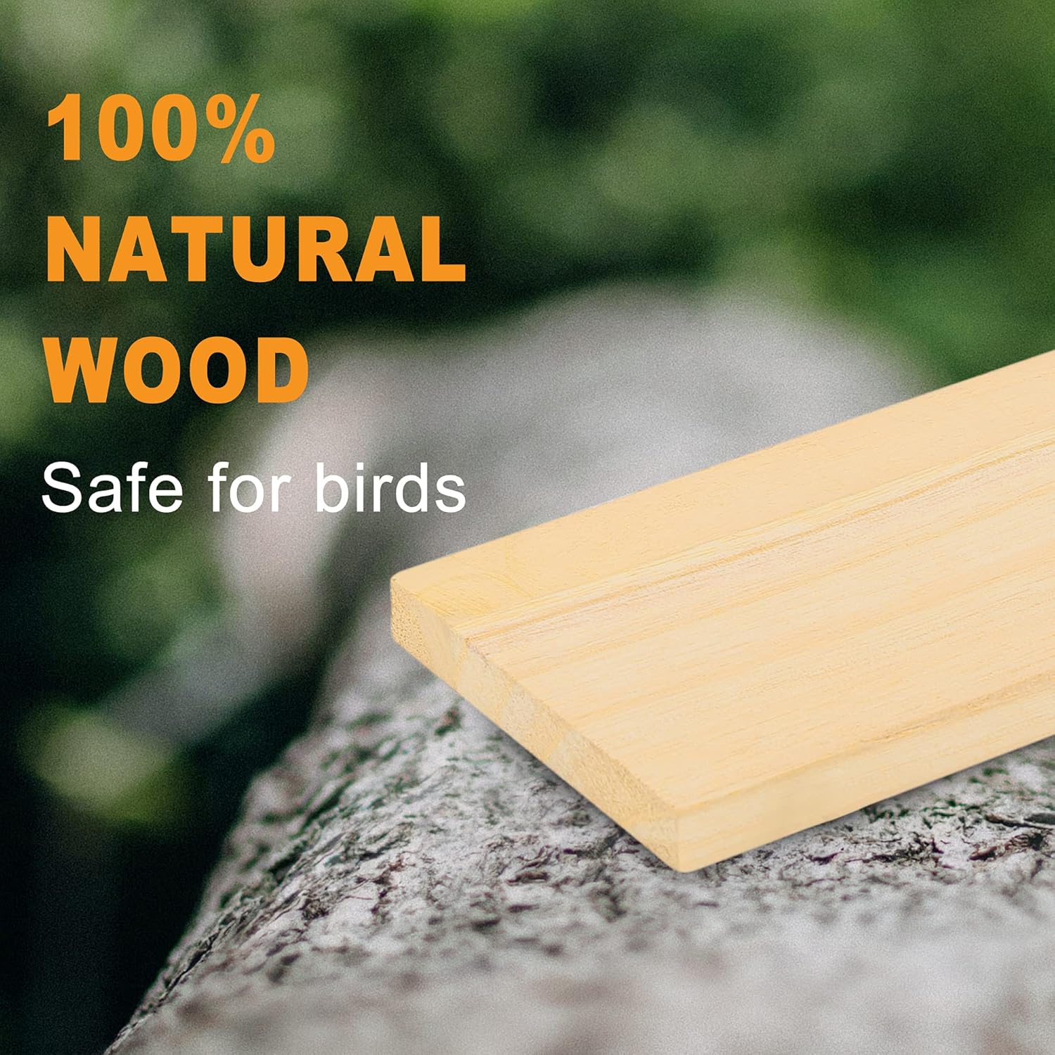 Bird Perch Stand, Bird Training Portable Tabletop Platform, Parrot Bird Cage Toy Gym Accessories for Parakeets Cockatiels, Conures, Macaws, Finches Lovebirds - Happypetzone.online - Image 2