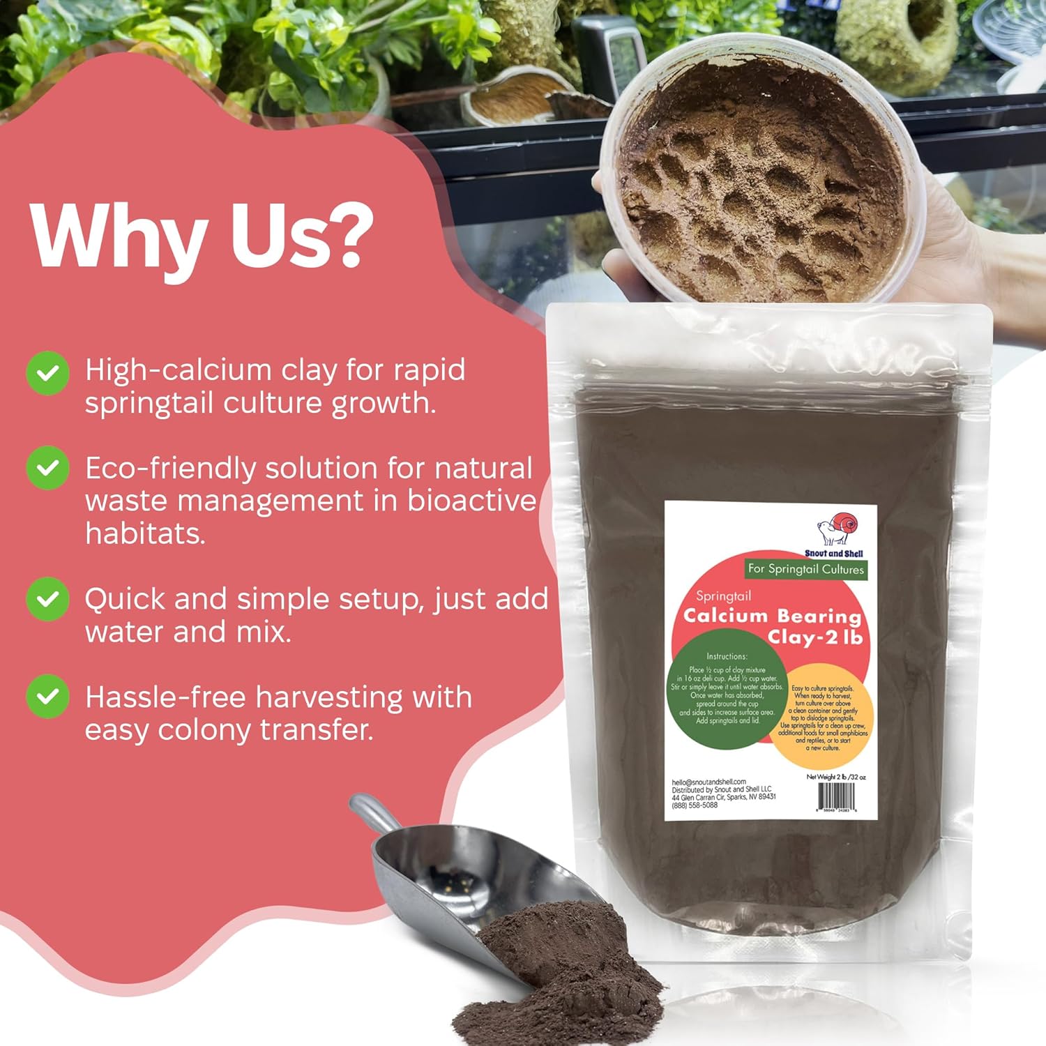 Snout and Shell Springtail Calcium Bearing Clay - 2 lb | Ideal for Culturing Springtails, Reptile and Amphibian Terrariums, and Natural Habitat Cleanup Crew - Happypetzone.online - Image 6