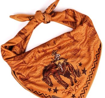 dog bandana stylish