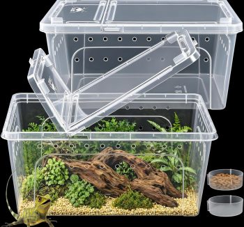 reptile habitat enclosure