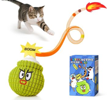 cat toys with sound