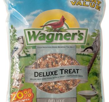 bird seed mix