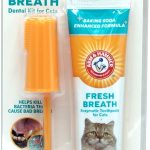 cat wellness products