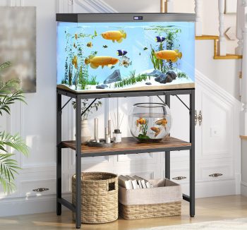 fish tank with stand