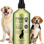 best dog shampoo