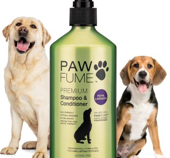 best dog shampoo