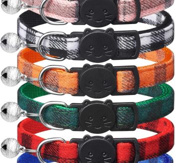 cat collar for kittens