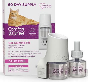 cat anxiety relief