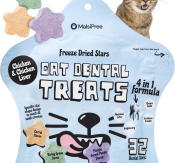 cat dental treats