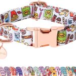 dog food for puppies