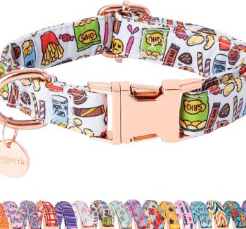 dog food for puppies