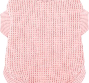 dog clothes cute