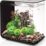 acrylic fish tank