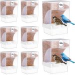 canary bird food