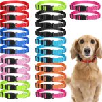 cheap dog collars bulk