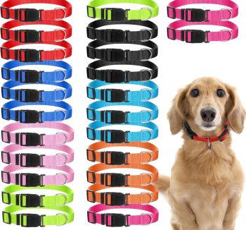 cheap dog collars bulk