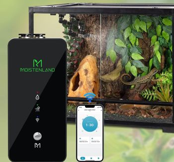 cheap reptile accessories