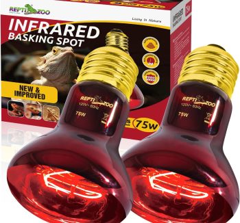reptile heat lamp
