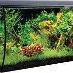 fish tank setup kit