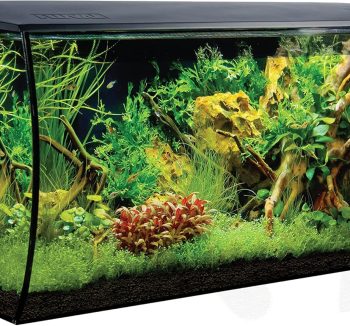 fish tank setup kit